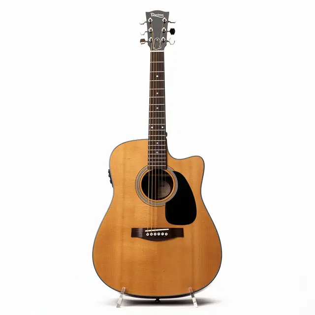 Acoustic Guitar Dreadnought
