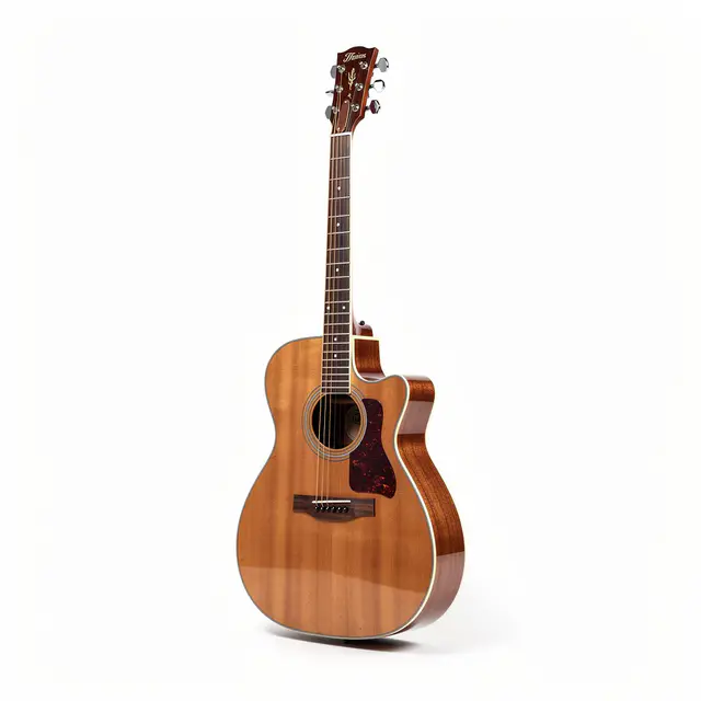 Acoustic Guitar Electro