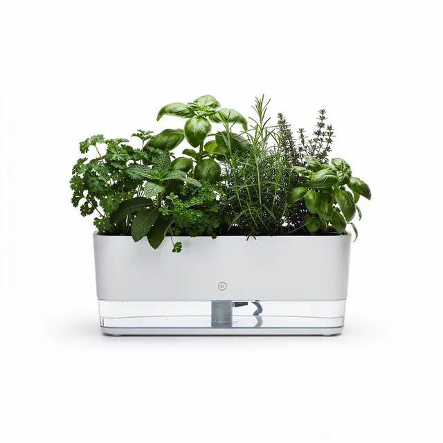 Herb Garden Indoor Self-Watering