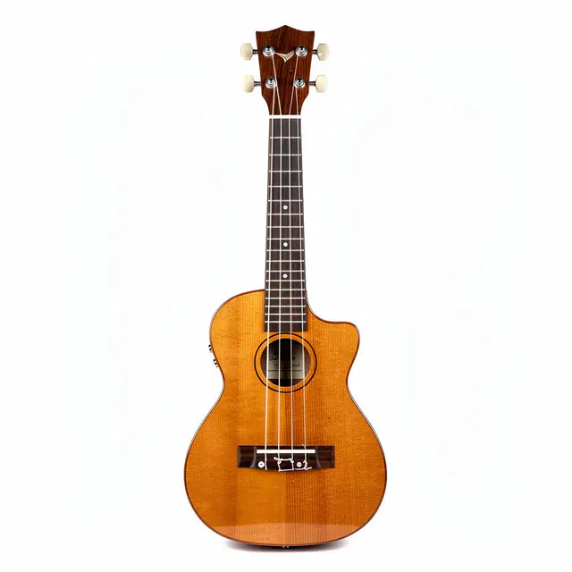 Ukulele Concert Electric
